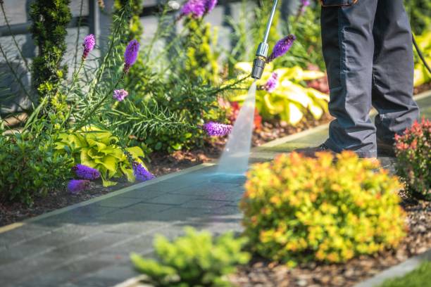 Trusted Warren, PA Pressure Washing Services Experts